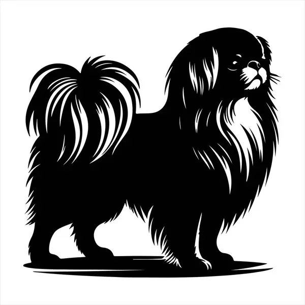 Japon Chin köpek vektör illüstrasyonu çizgi film tarzında beyaz arkaplanda izole edildi.