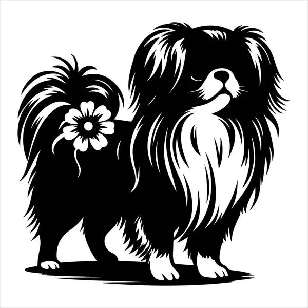 Japon Chin köpek vektör illüstrasyonu çizgi film tarzında beyaz arkaplanda izole edildi.