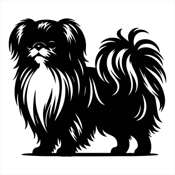 Japon Chin köpek vektör illüstrasyonu çizgi film tarzında beyaz arkaplanda izole edildi.