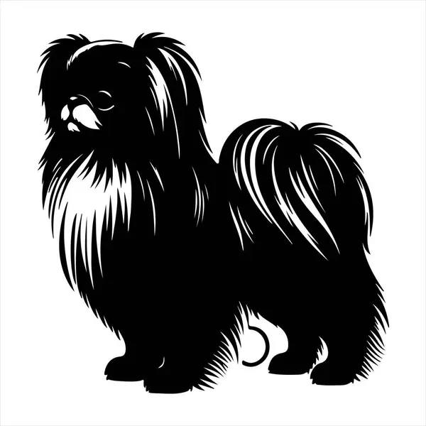 Japon Chin köpek vektör illüstrasyonu çizgi film tarzında beyaz arkaplanda izole edildi.