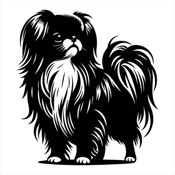 Japon Chin köpek vektör illüstrasyonu çizgi film tarzında beyaz arkaplanda izole edildi.