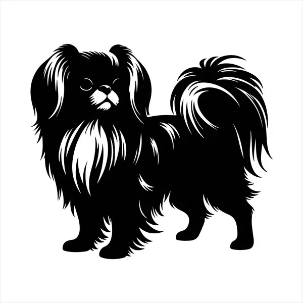 Japon Chin köpek vektör illüstrasyonu çizgi film tarzında beyaz arkaplanda izole edildi.