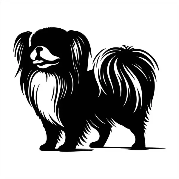 Japon Chin köpek vektör illüstrasyonu çizgi film tarzında beyaz arkaplanda izole edildi.