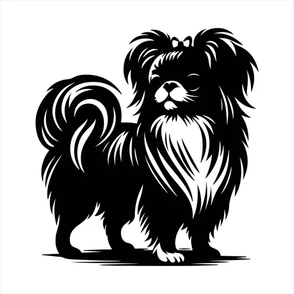 Japon Chin köpek vektör illüstrasyonu çizgi film tarzında beyaz arkaplanda izole edildi.