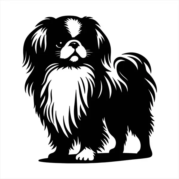 Japon Chin köpek vektör illüstrasyonu çizgi film tarzında beyaz arkaplanda izole edildi.