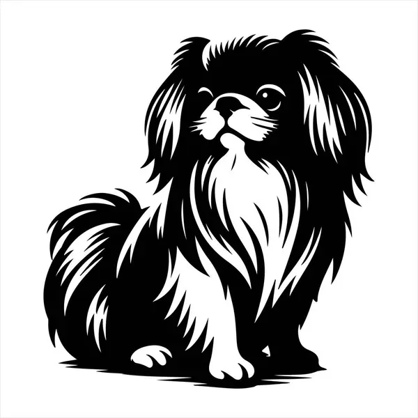 Japon Chin köpek vektör illüstrasyonu çizgi film tarzında beyaz arkaplanda izole edildi.