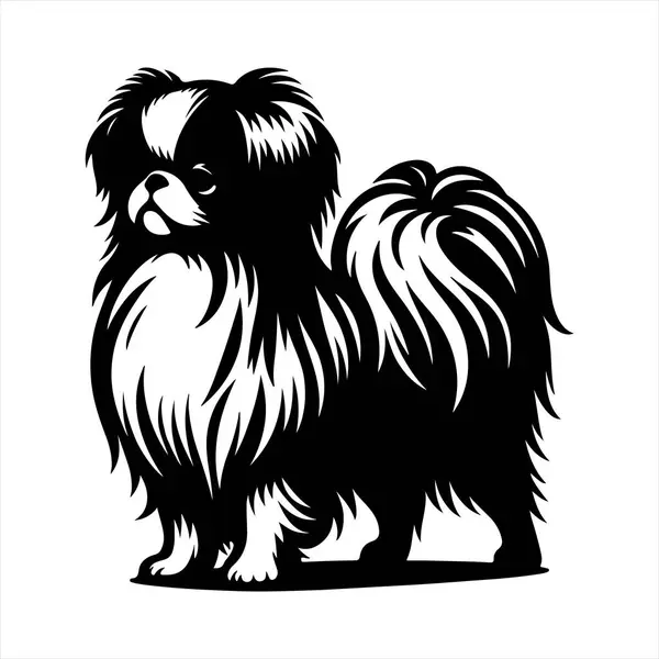 Japon Chin köpek vektör illüstrasyonu çizgi film tarzında beyaz arkaplanda izole edildi.