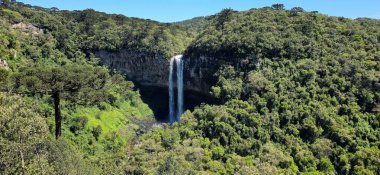 Exuberant Caracol Waterfall, 131 meters high, in the city of Canela RS. Lajeana Valley, lush nature, araucaria, sunny day and clear sky. clipart