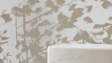 Gölgeli ve yapraklı beyaz duvar