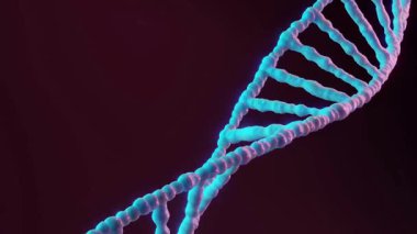 Renk arkaplanında 3 boyutlu DNA sarmalının görüntülenmesi