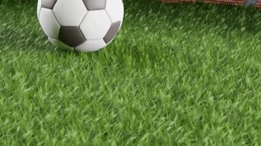 Çimlerin üzerinde futbol topu