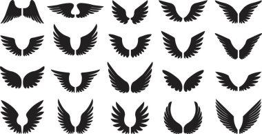 Düz sette uzun tüy ikonu olan kanatlar. Şeffaf arkaplanda izole edilmiş. Melek ya da kuş Heraldik klasik ordu amblemi Şahin Anka Şahini. Uçan kanatlı çerçeve. vektör logotip uygulamaları ağı