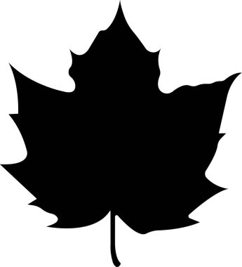 Sonbahar simgesini düz bir şekilde bırakır. Şeffaf arkaplanda izole edilmiş. Çeşitli düşen yapraklar sonbahar konsepti. Akçaağaç yaprağı. Mevsimlik bayram Şükran Günü tebrik kartı. Uygulamalar web sitesi için vektör