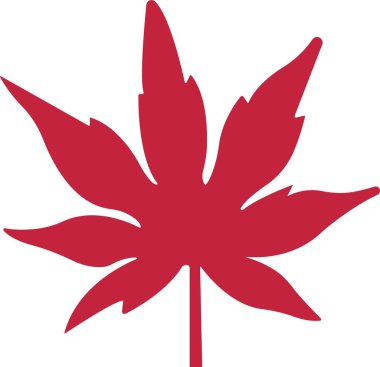 Sonbahar simgesini düz bir şekilde bırakır. Şeffaf arkaplanda izole edilmiş. Çeşitli düşen yapraklar sonbahar konsepti. Akçaağaç yaprağı. Mevsimlik bayram Şükran Günü tebrik kartı. Uygulamalar web sitesi için vektör