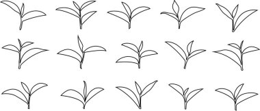 Arakçı Yaprak simgesi hazır. Uygulamalar veya web botaniği için vektör, biyoloji, organik, vejetaryen, taze, doğa logosu tasarımı yeşil çay, bitkisel, doğal tıp, şeffaf arkaplanda yalıtılmış filizlenme