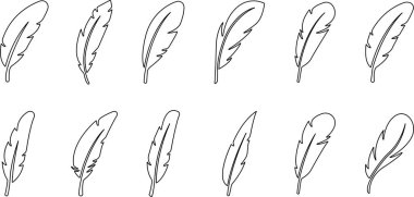 Kuş tüyü simgeleri ayarlandı. Kuş kanatlarından farklı tüylere sahip basit siyah semboller. Saydam arkaplanda izole edilmiş uygulamalar için satır biçimi vektörü