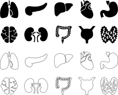 İnsan Organı El Çizimi Simge Çizgisi Uygulamalar için Organlar Vektörünü, Ağ İşareti Kalbi, Karaciğer, Mide, Böbrek, Üre, Göz, Akciğer, İnsan Anatomisi İçin Nöron Piktogramı