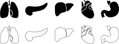 İnsan Organı El Çizimi Simge Çizgisi Uygulamalar için Organlar Vektörünü, Ağ İşareti Kalbi, Karaciğer, Mide, Böbrek, Üre, Göz, Akciğer, İnsan Anatomisi İçin Nöron Piktogramı