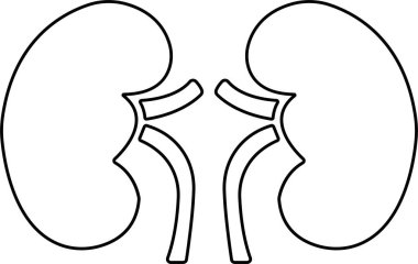 İnsan Organı El Çizgisi Simge Organı Uygulamalar için Vektör, Böbrek için ağ sembolü, İnsan anatomisi için resim