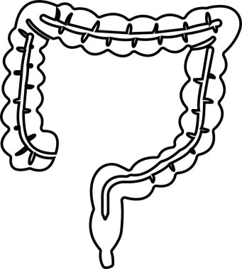 İnsan Organı El Çizgisi Simge Organı Uygulamalar için Vektör, İnsan anatomisi için uzun tüp piktogramı işareti