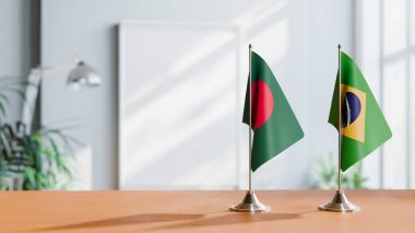 BANGLADESH VE BRAZİLYA ÇALIŞMASI