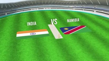 INDIA ve NAMIBIA Bayraklarıyla Kriket Stadyumunun Hava Görüntüsü