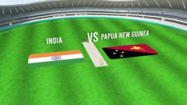 INDIA ve PAPUA NEW GUINEA Bayraklarıyla Kriket Stadyumu 'nun Havadan Görüntüsü