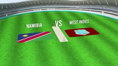 NAMIBIA ve Batı Hint Bayraklarıyla Kriket Stadyumunun Hava Görüntüsü