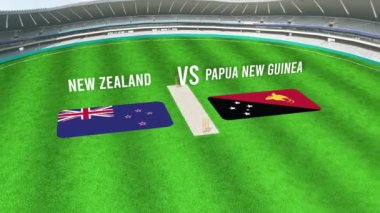 NEW ZEALAND ve PAPUA NEW GUINEA Bayraklarıyla Kriket Stadyumu 'nun Hava Görüntüsü