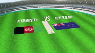 Afganistan ve Yeni ZEALAND Bayraklarıyla Kriket Stadyumunun Hava Görüntüsü