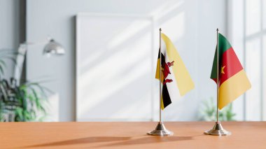BUNEI VE CAMEROON BALIKLARI