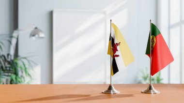 BUNEI VE PORTUGAL BALIKLARI