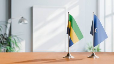 GABON VE SOMALYA BALIKLARI