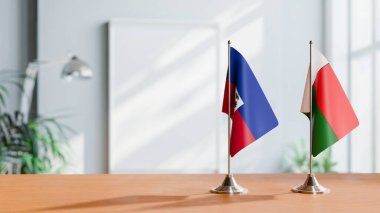 HAITI VE MADAGASKAR BALIKLARI