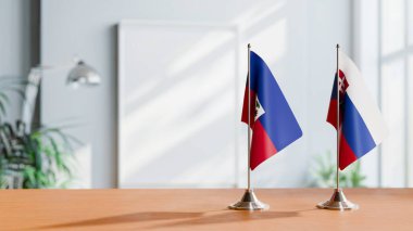 HAITI VE SLOVAKIA BALIKLARI