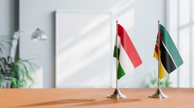 Masanın Üzerinde AÇIK VE MOZAMBİK FLAKLARI