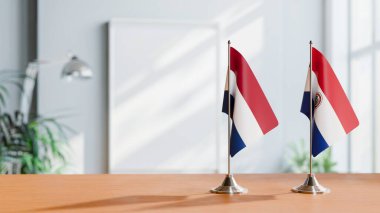 NETHERLANDS VE PARAGUAY BALIKLARI