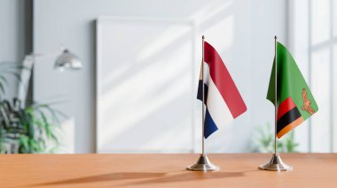NETHERLANLAR VE ZAMBİA BALIKLARI