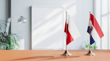 PARAGUAY VE POLAND BALILARI