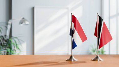 PARAGUAY VE TÜRKÇE FLAKLARI