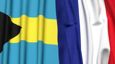 BAHAMAS ve FRANCE bayrakları gerçekçi kumaş dokusuyla