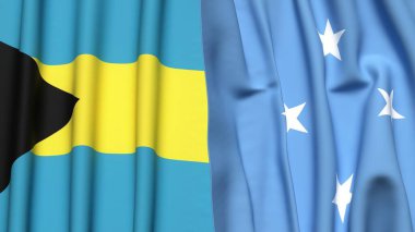 Bahamalar ve MICRONEZYA bayrakları gerçekçi kumaş dokusuyla
