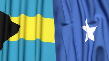 BAHAMAS ve SOMALYA bayrakları gerçekçi kumaş dokusuyla