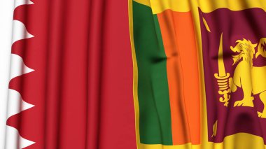 BAHRAIN ve SRI LANKA bayrakları gerçekçi kumaş dokusuyla