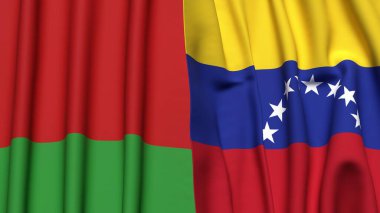 BeLARUS ve Venezuela 'nın bayrakları gerçekçi kumaş dokusuyla