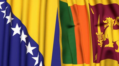 Gerçek kumaş dokusuna sahip BOSNIA ve SRI LANKA bayrakları