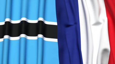 BOTSWAN ve FRANCE bayrakları gerçekçi kumaş dokusuyla