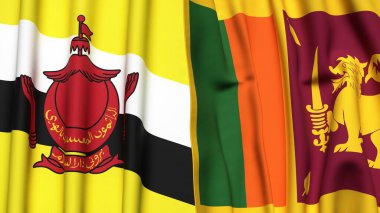 Gerçekçi kumaş dokusuna sahip Bayraklar: BRUNEI ve SRI LANKA