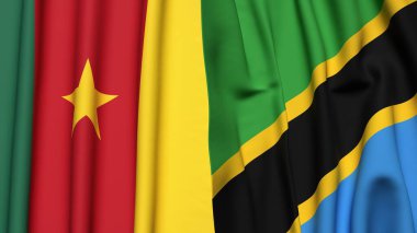 Gerçekçi kumaş dokusuna sahip CAMEROON ve TANZANIA bayrakları