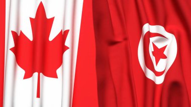Kanadalı ve TUNISIA bayrakları gerçekçi kumaş dokusuyla